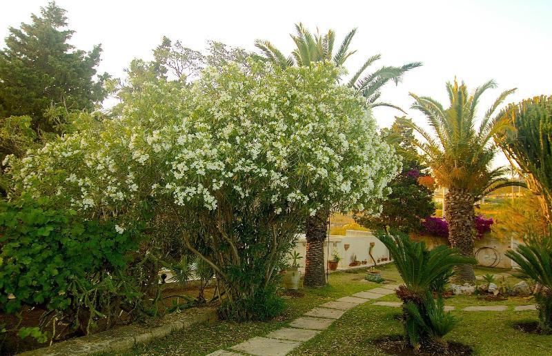 La Rosa Sul Mare Apartahotel
